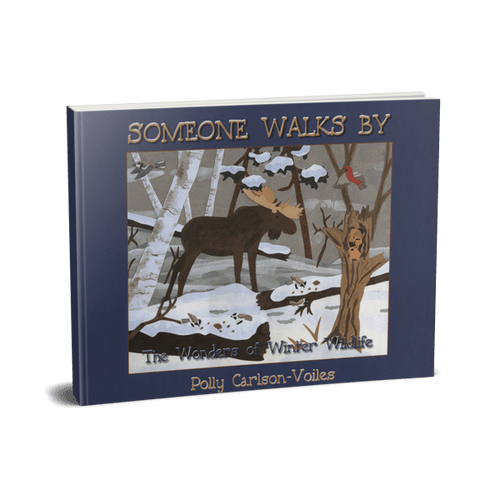 Someone Walks By
