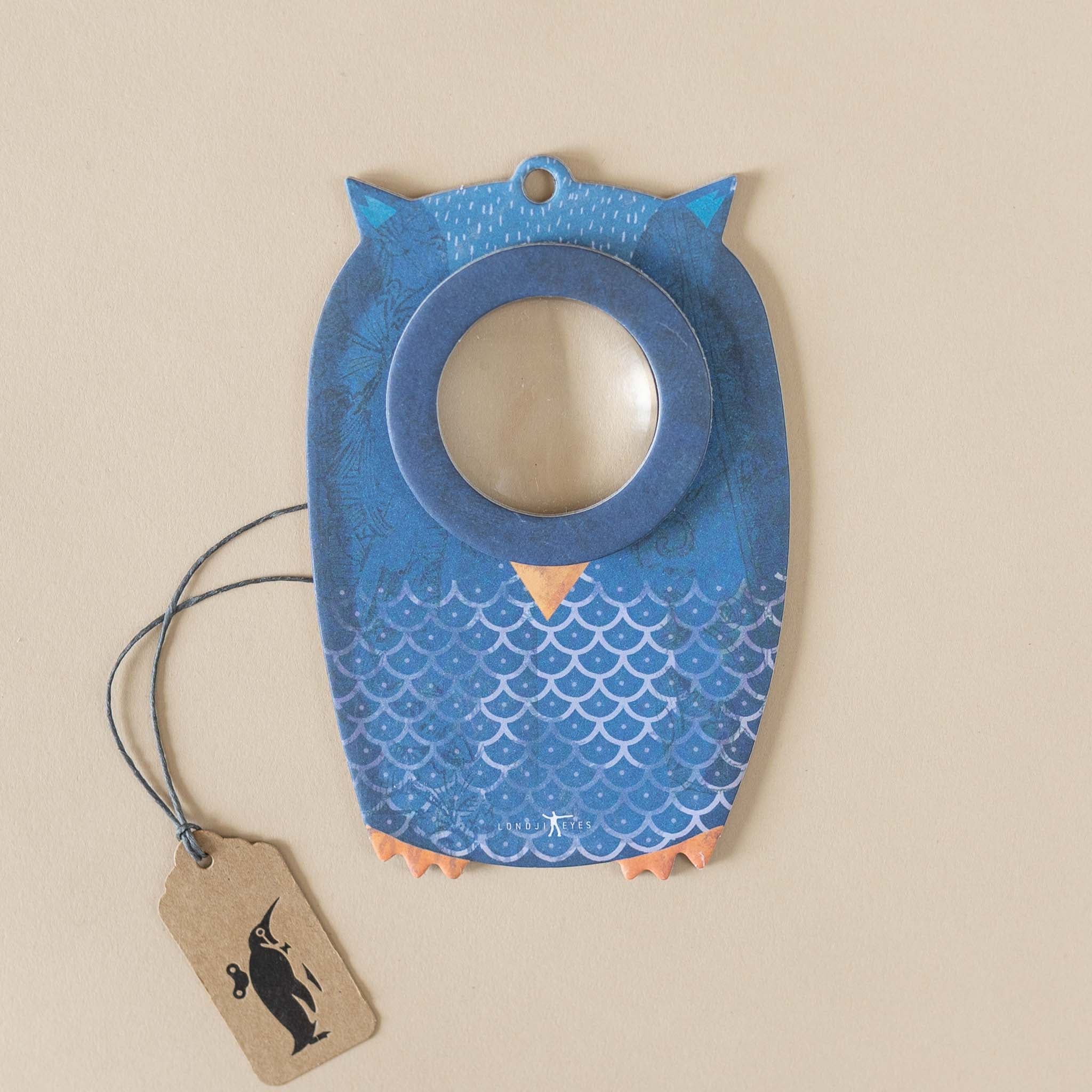 Magnifying Eye | Owl