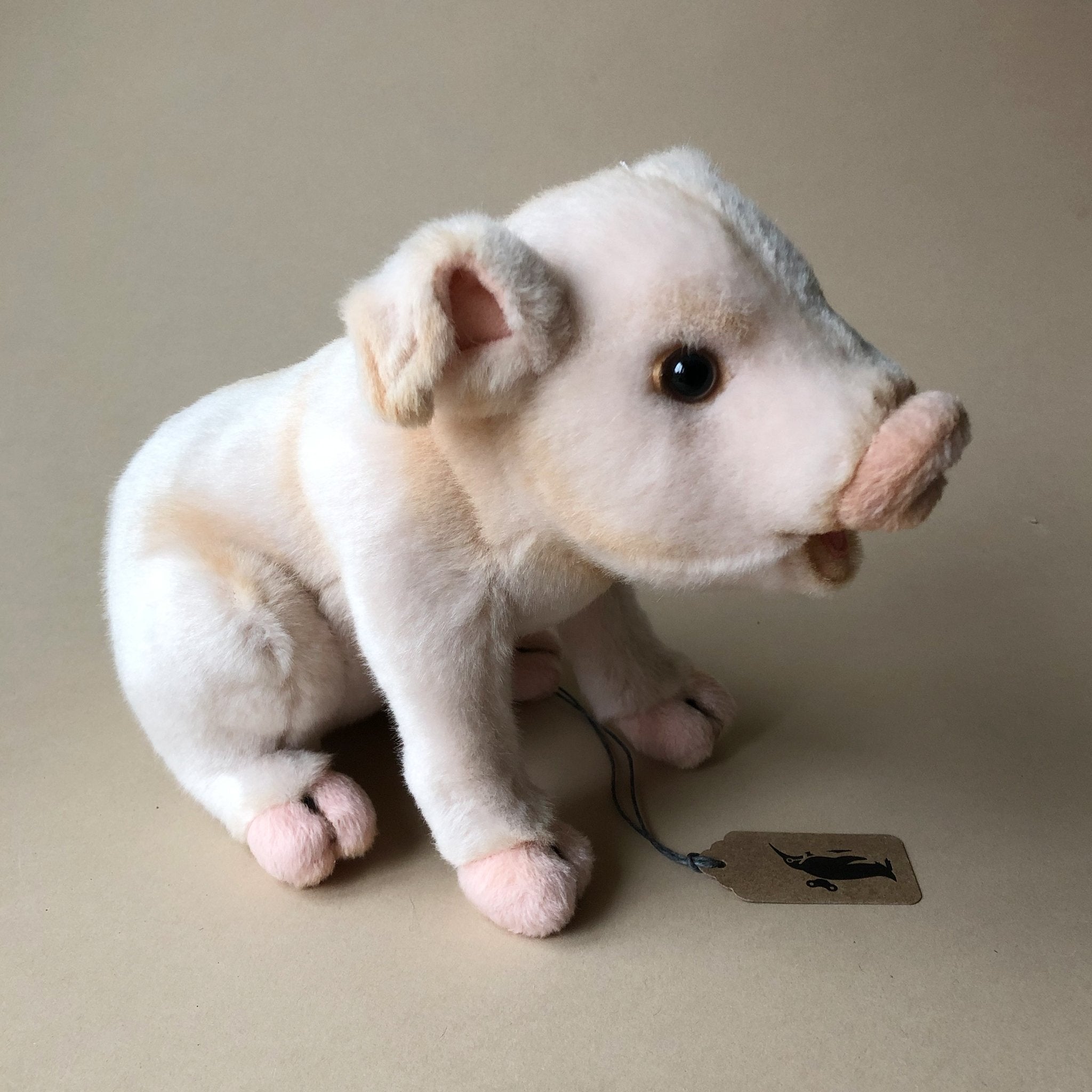 Piglet | Sitting