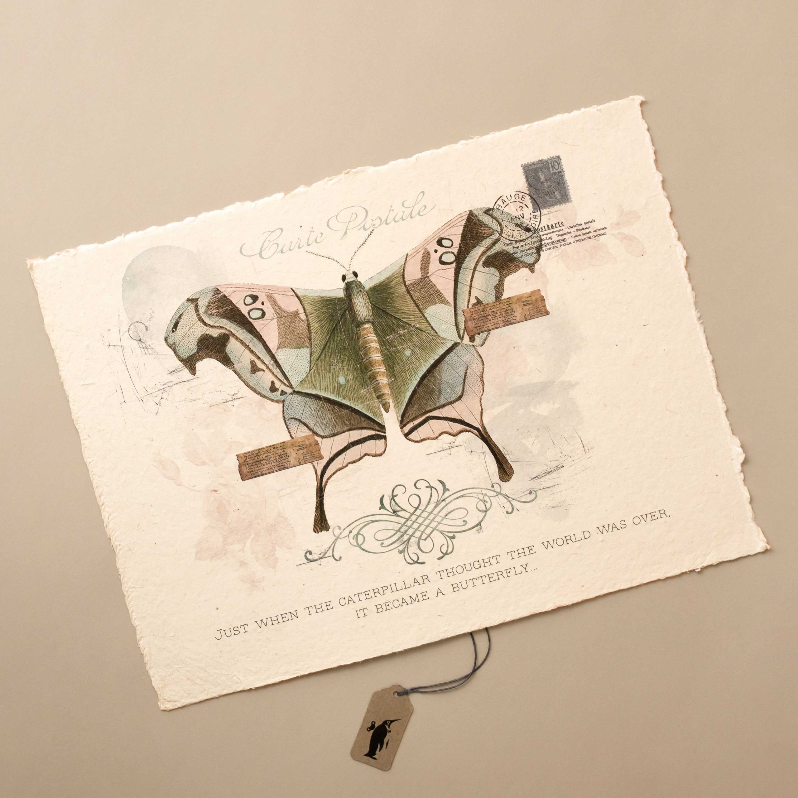Paper Print | Caterpillar & Butterfly
