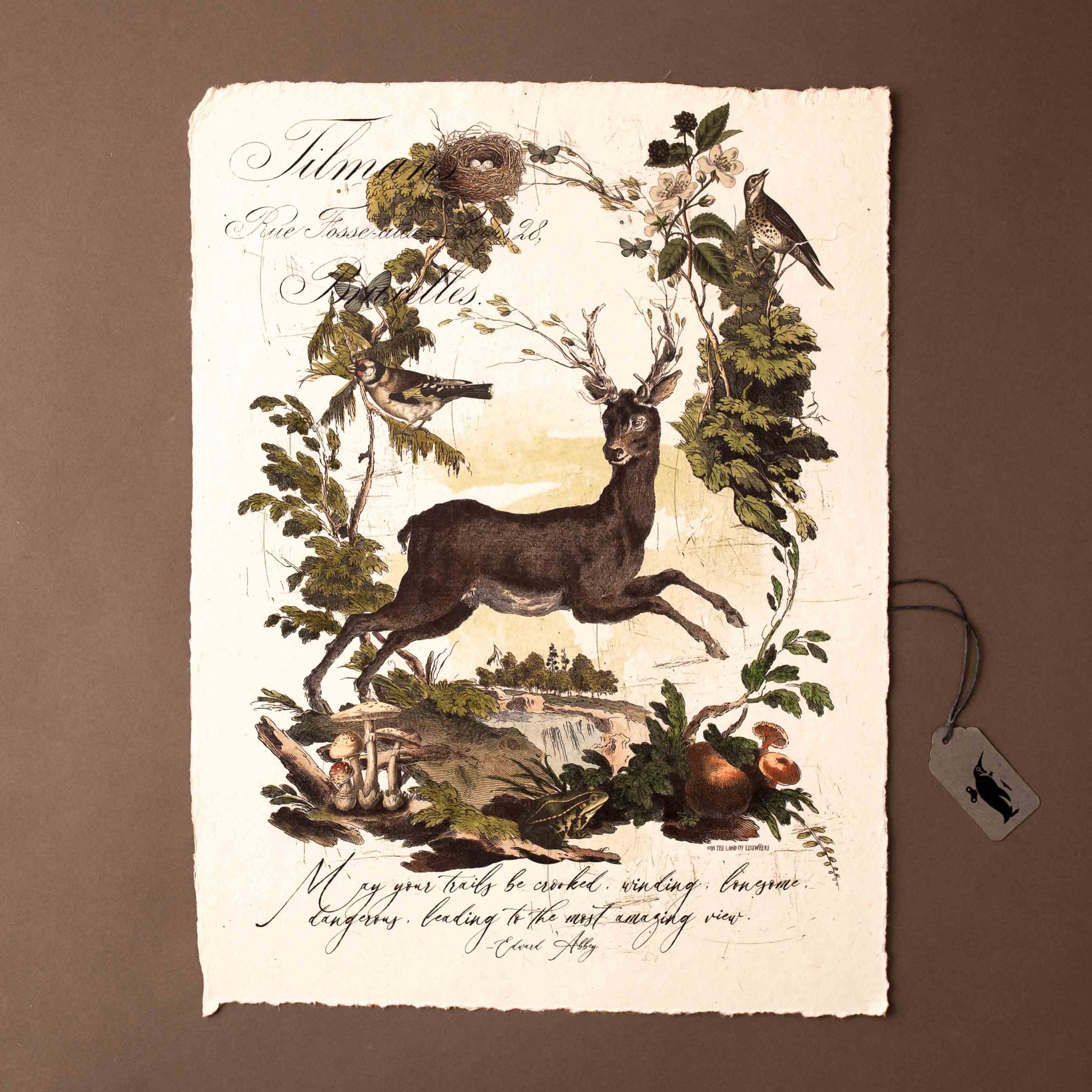 Paper Print | Crooked Trails