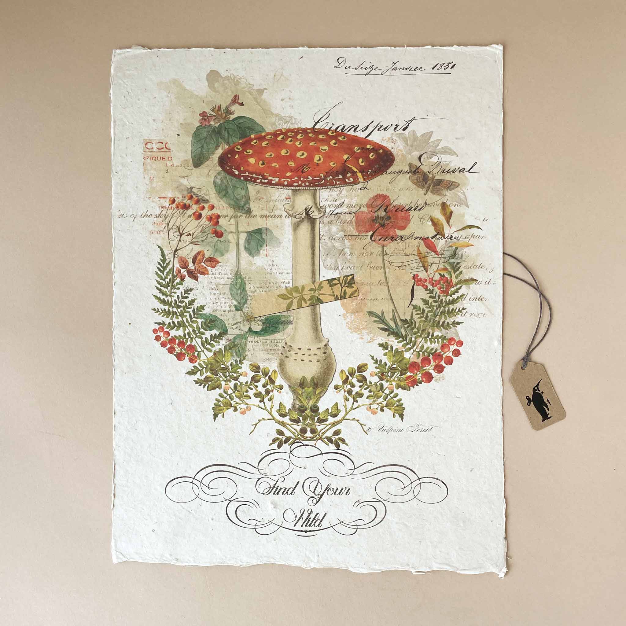 Paper Print | Find Your Wild