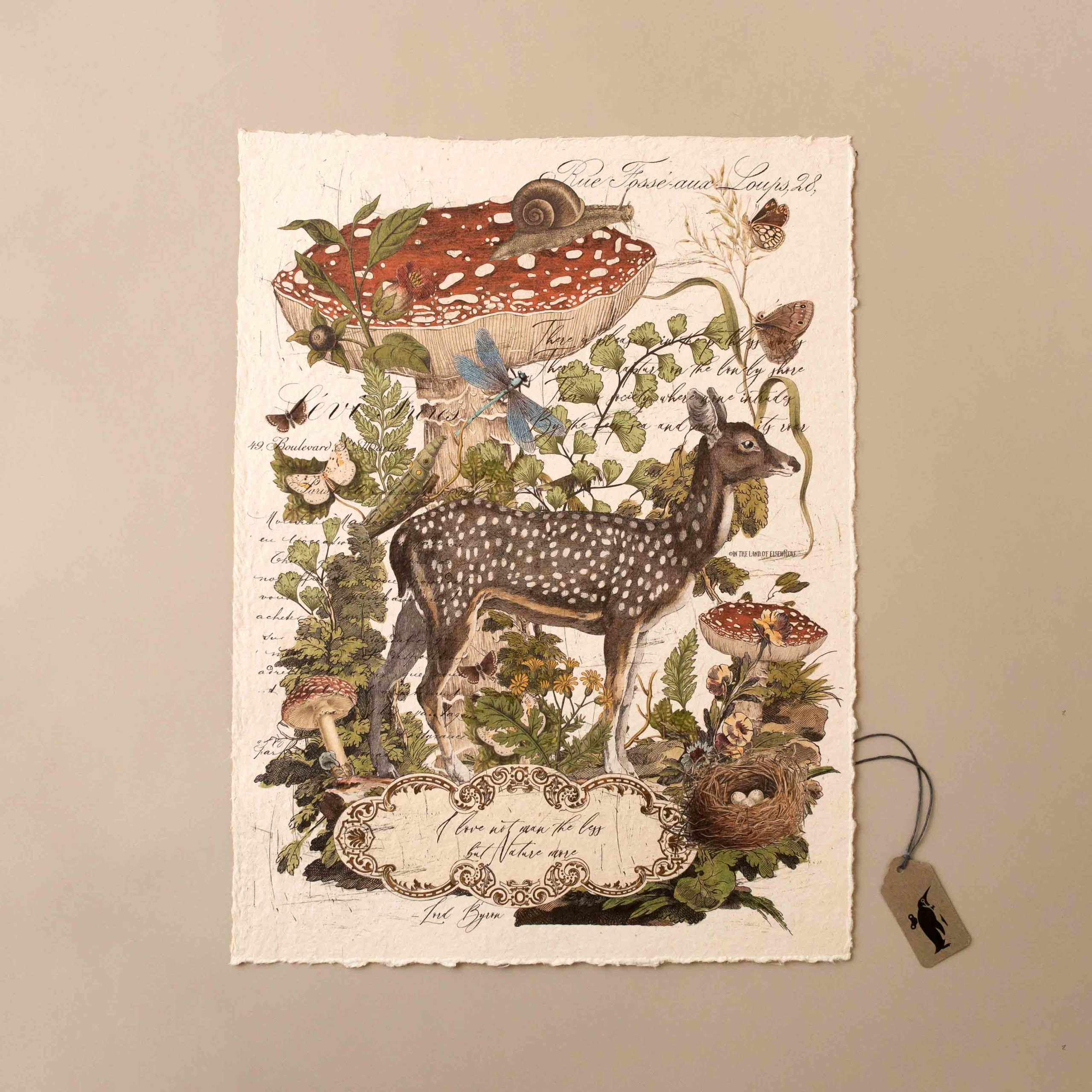 Paper Print | Nature More