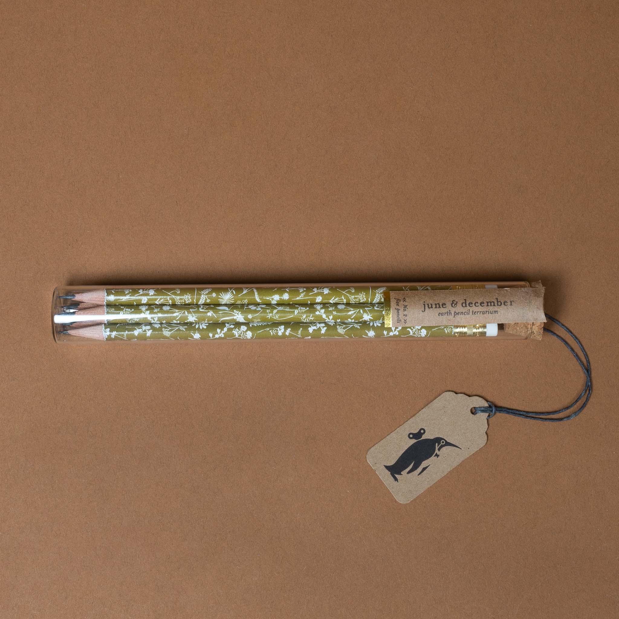 Pencil Terrarium | Earth