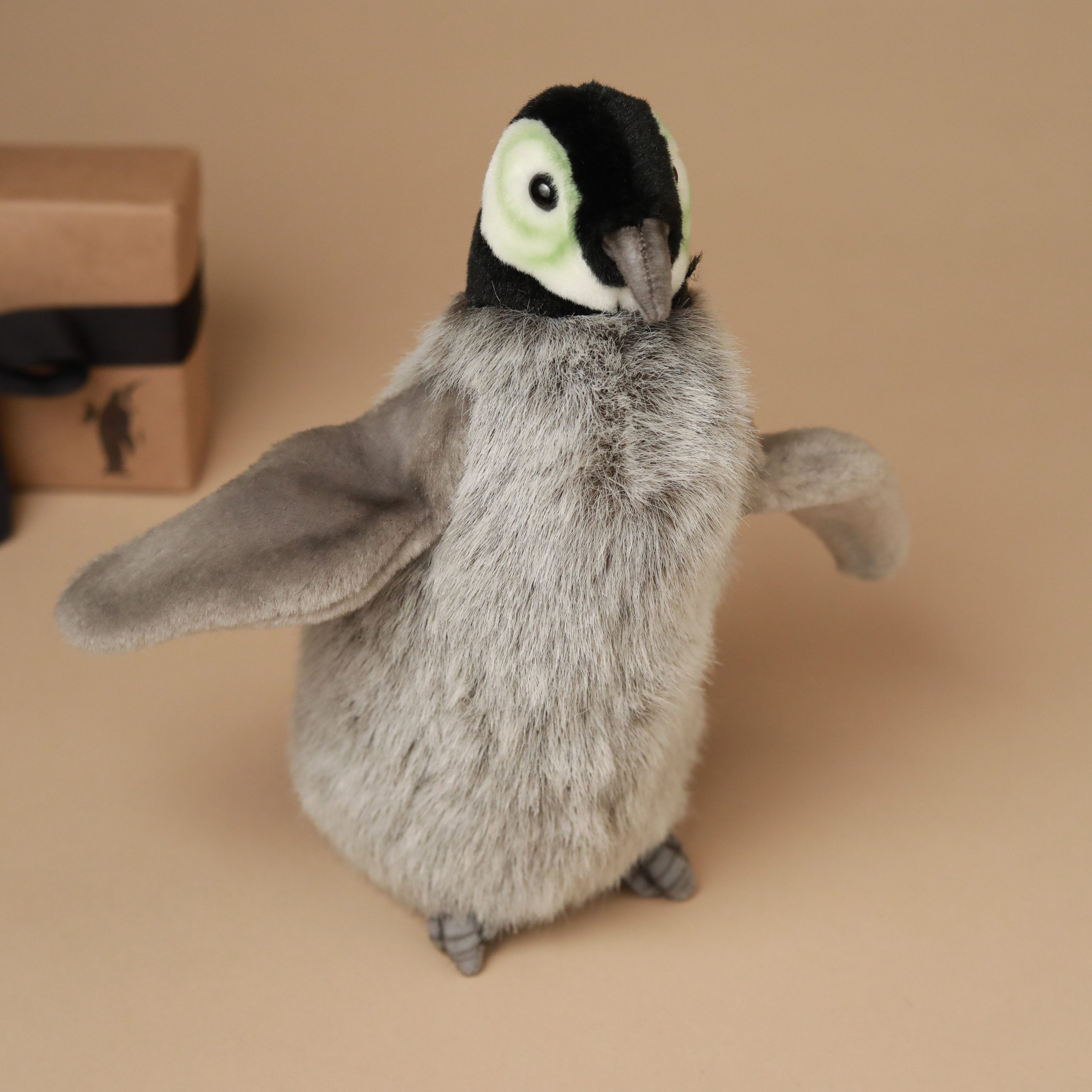 Penguin Chick