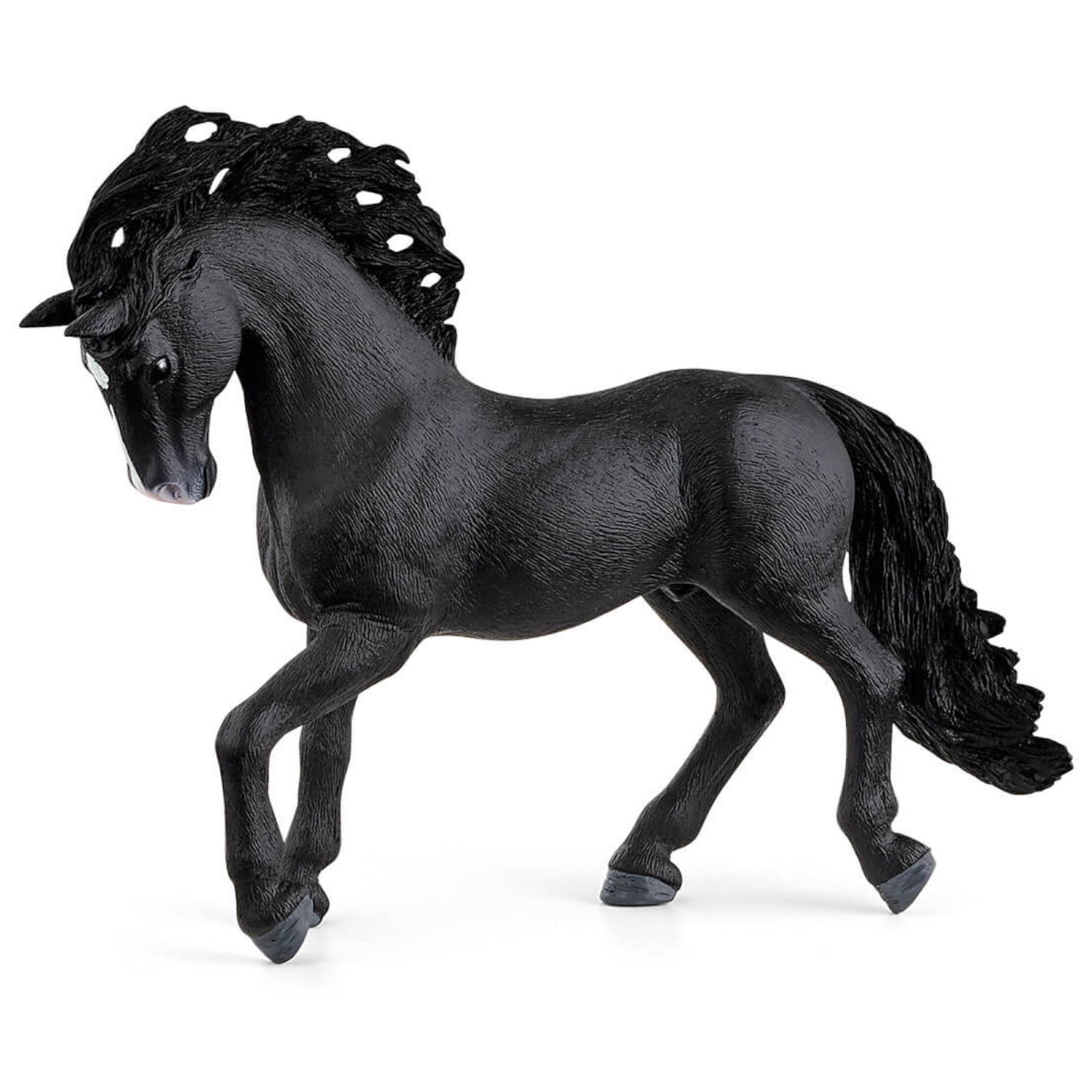 Pura Raza Espanola Stallion