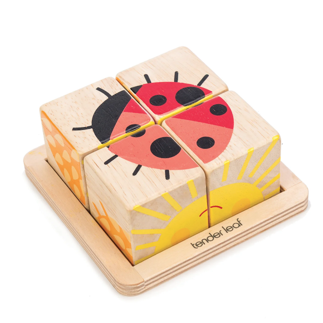 Tender Leaf Baby Blocks
