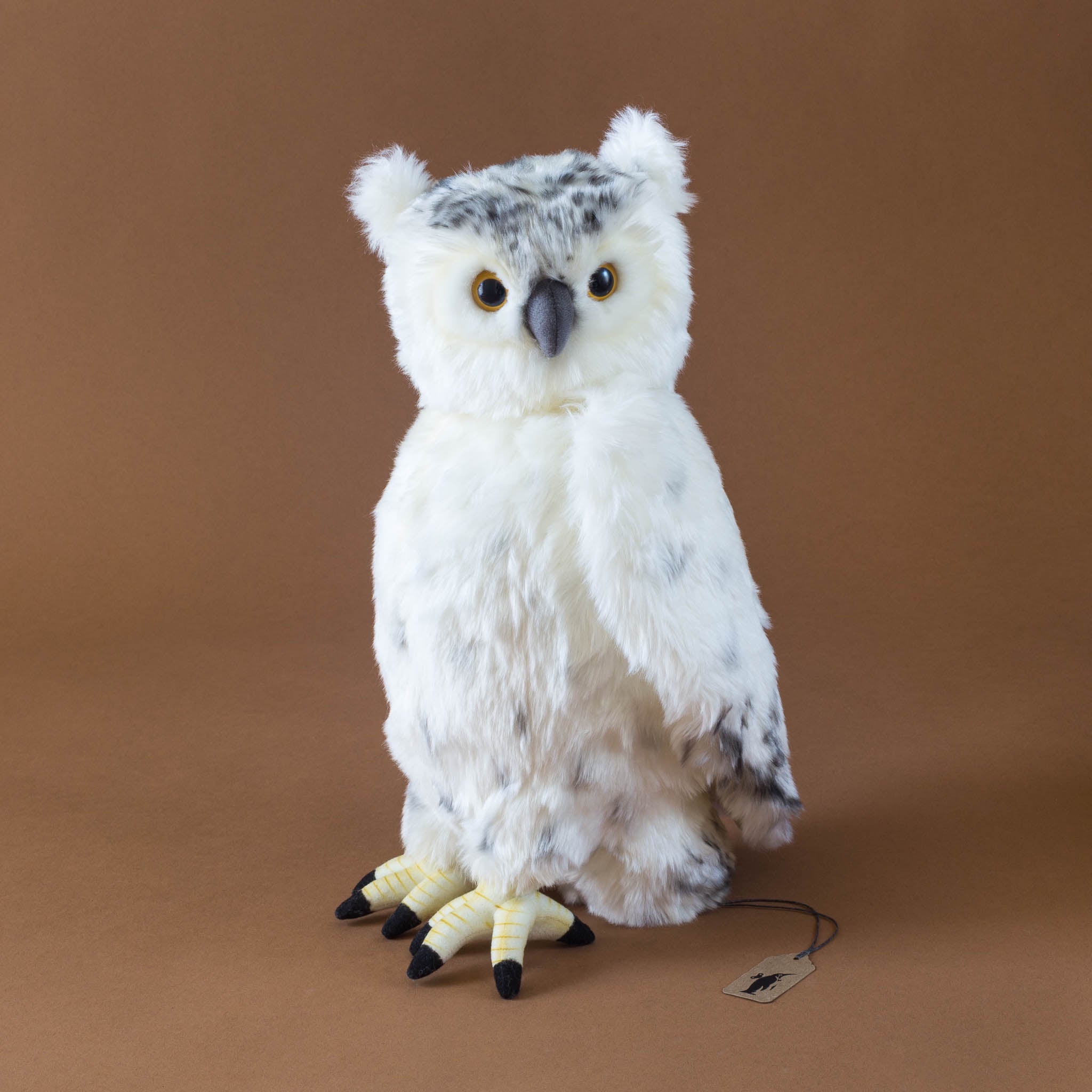 Snowy Owl