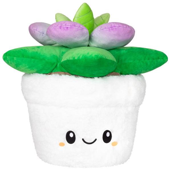 Squishables - 15" Succulent