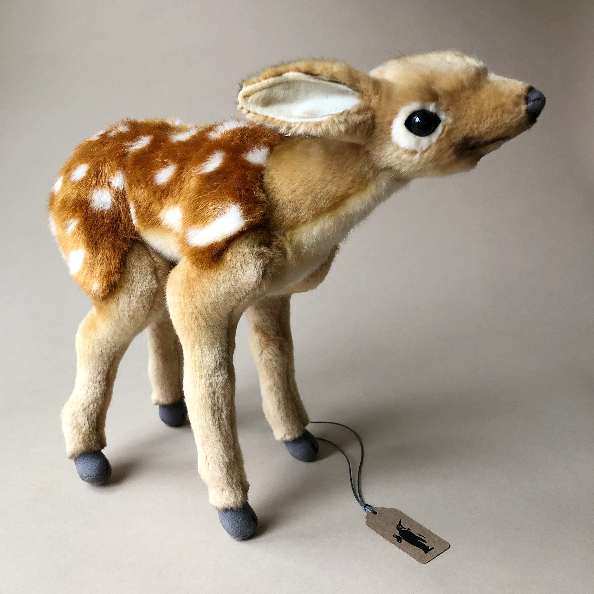 Bambi Newborn | Standing