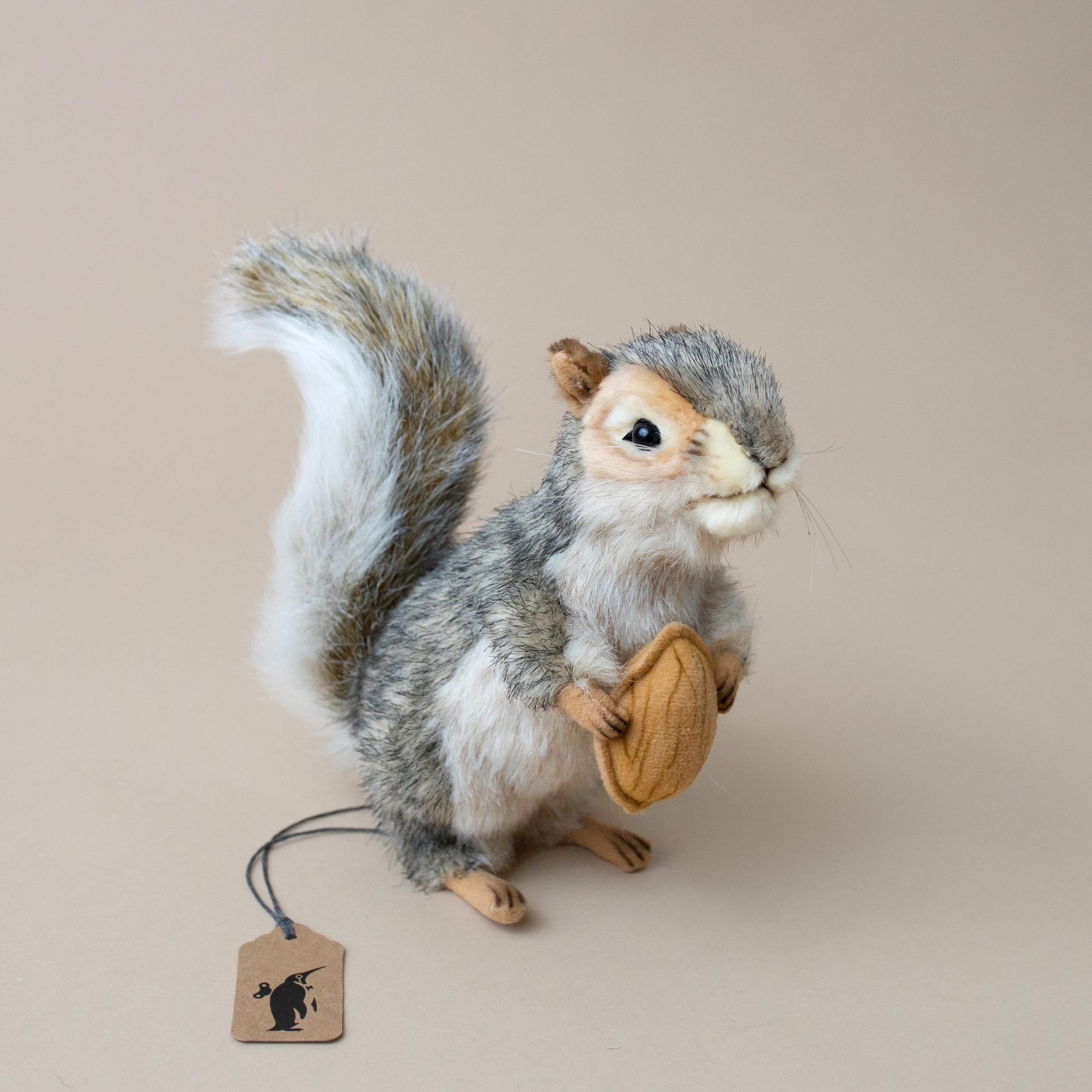Grey Squirrel | Sitting with Nut