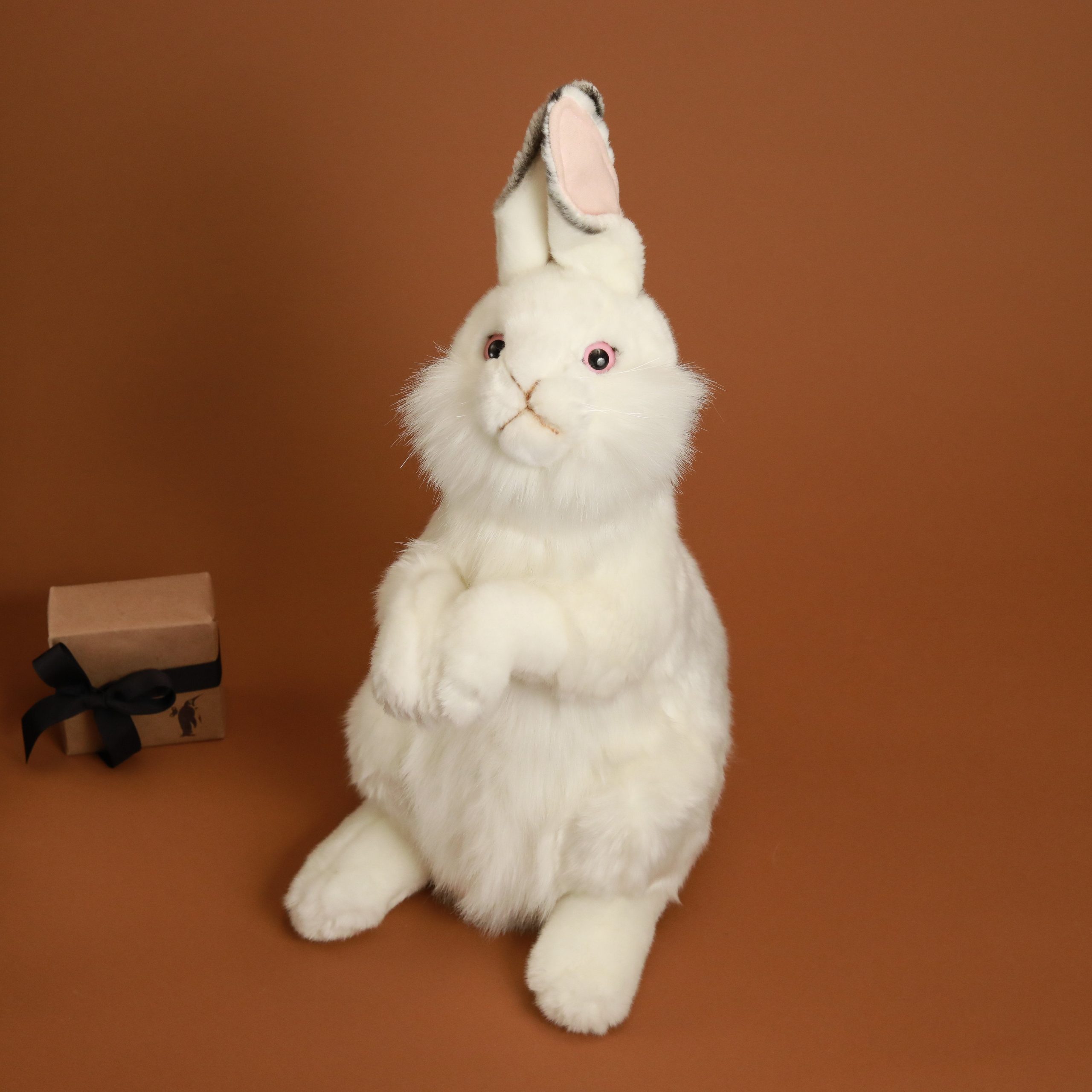 White Rabbit | Standing