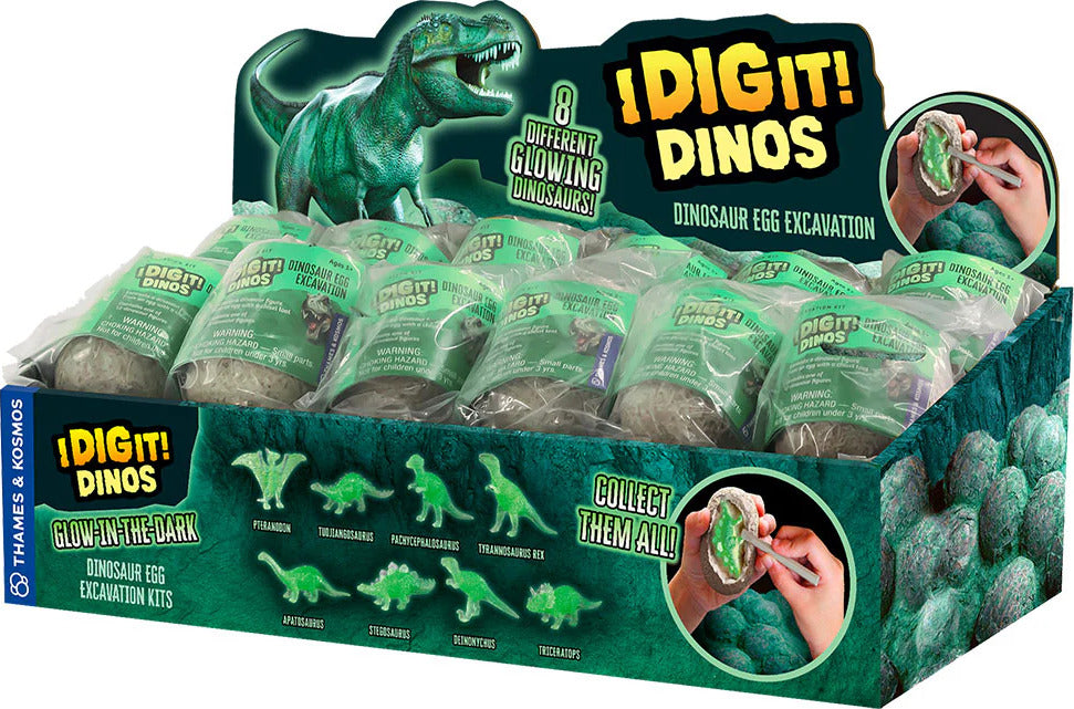I Dig It! Dinos: Glow-in-the-Dark Dino Egg (Single Egg)