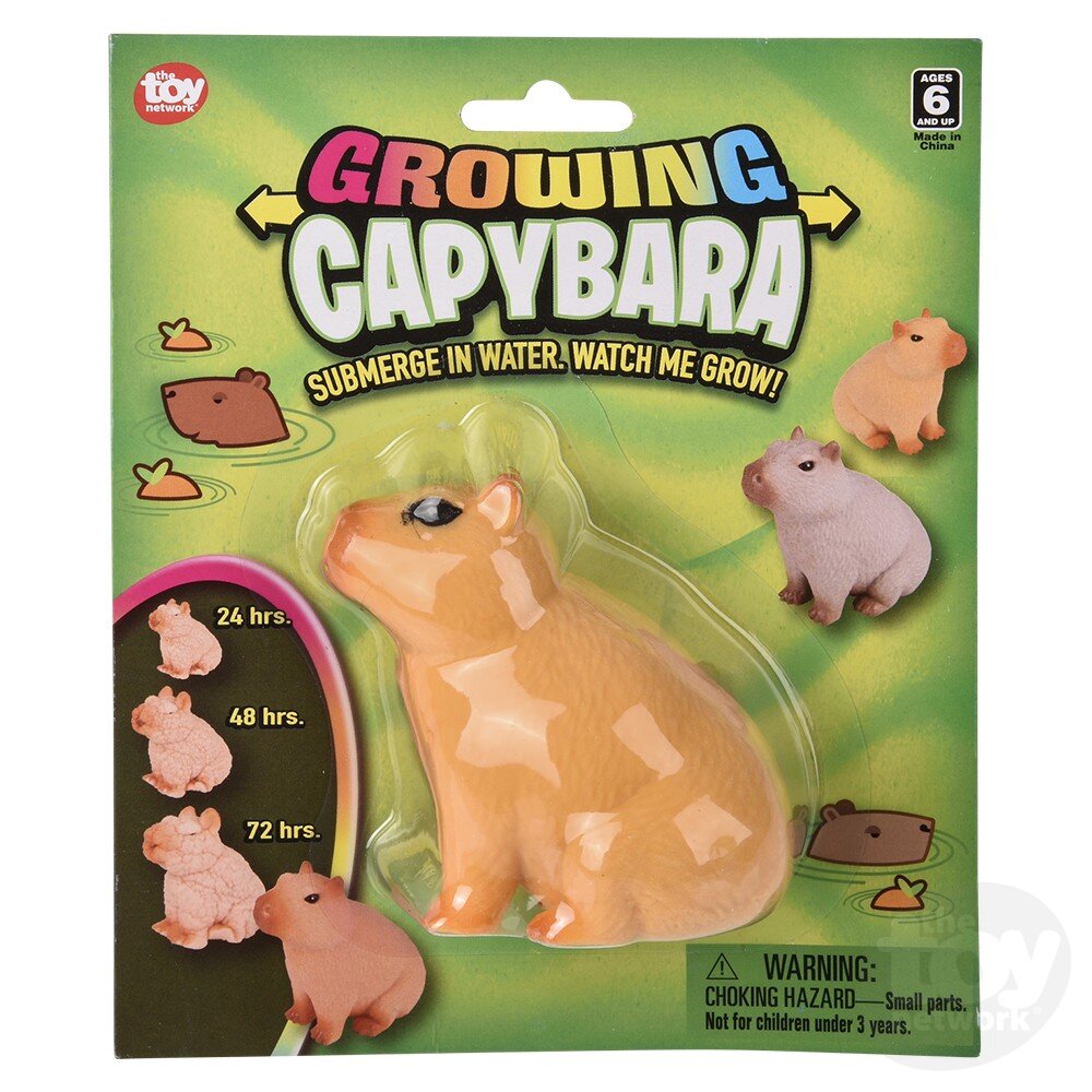 3" Growing Capybara