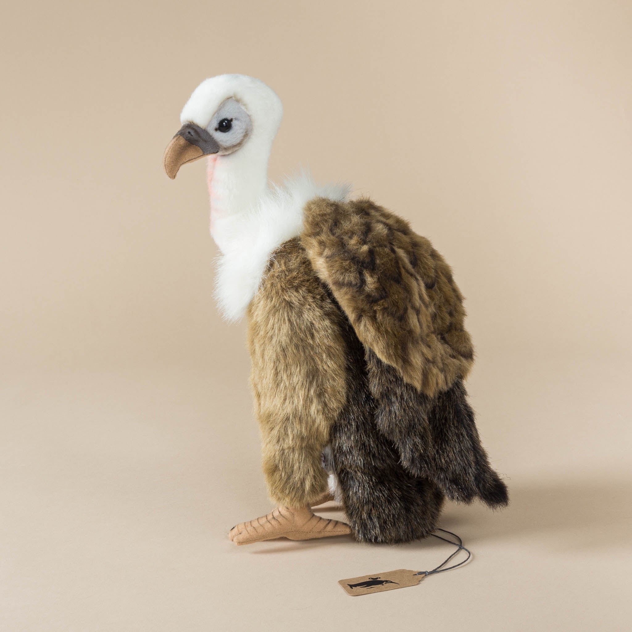 Vulture | Sitting