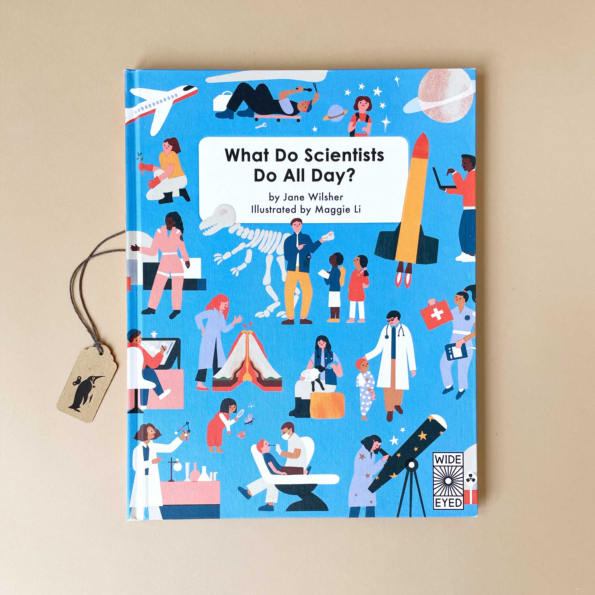 What Do Scientists Do All Day Book