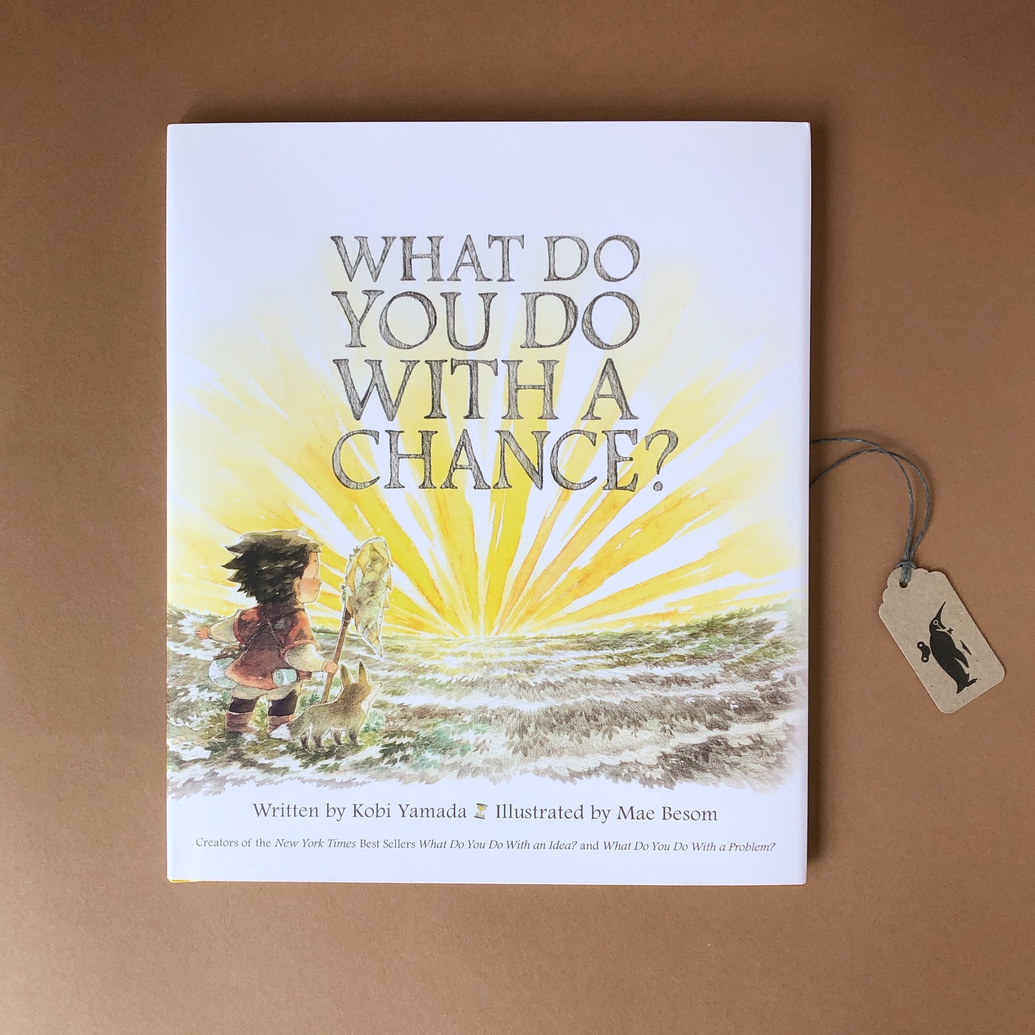 What Do You Do With a Chance? Book