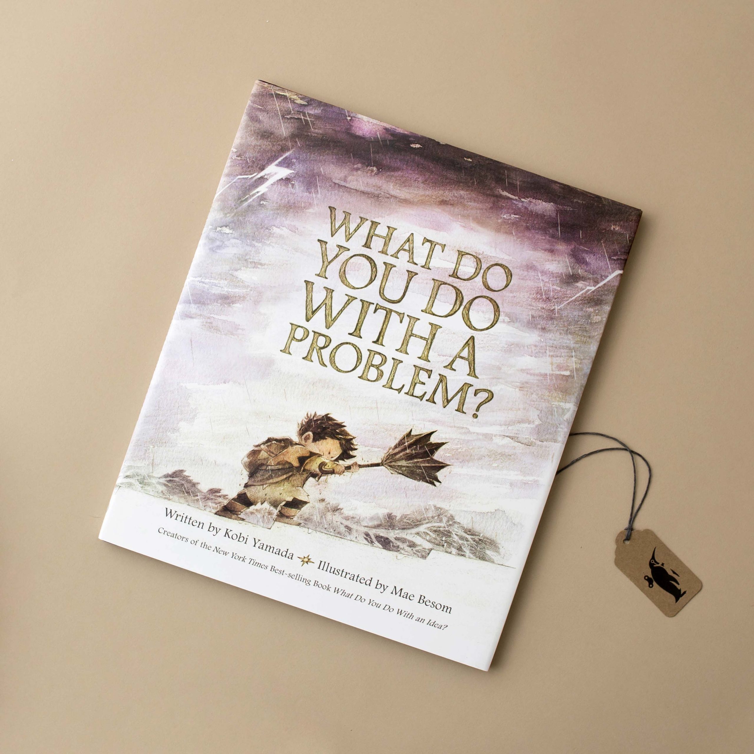 What Do You Do With a Problem? Book