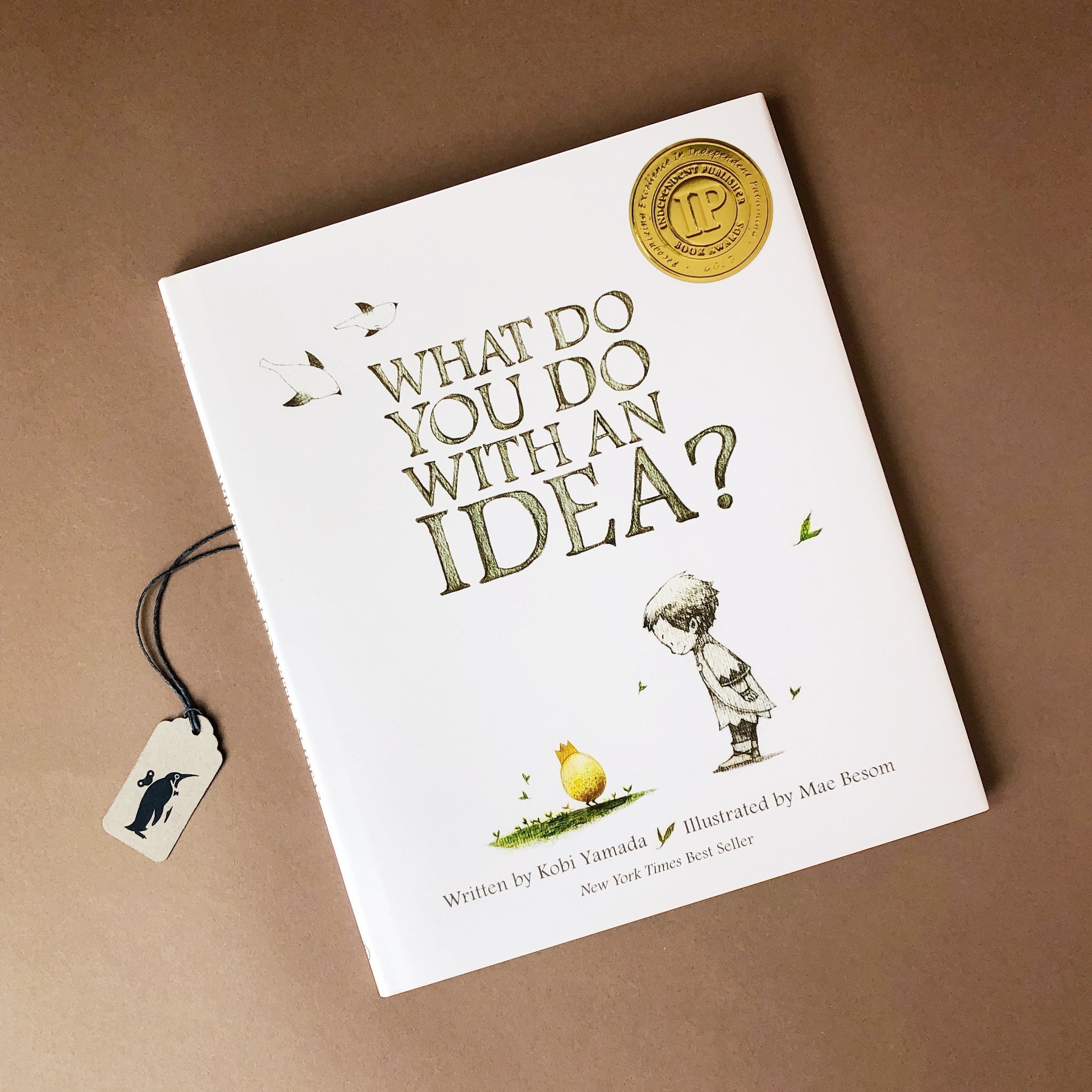 What Do You Do With an Idea? Book