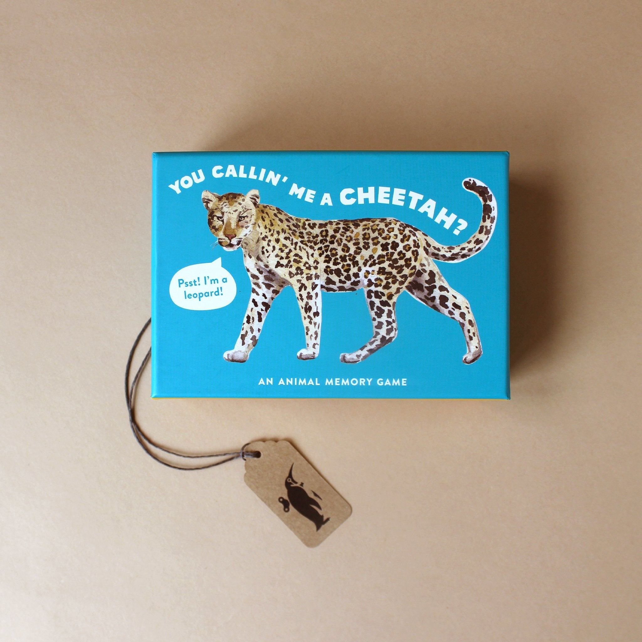 Which is Which? Animal Memory Game