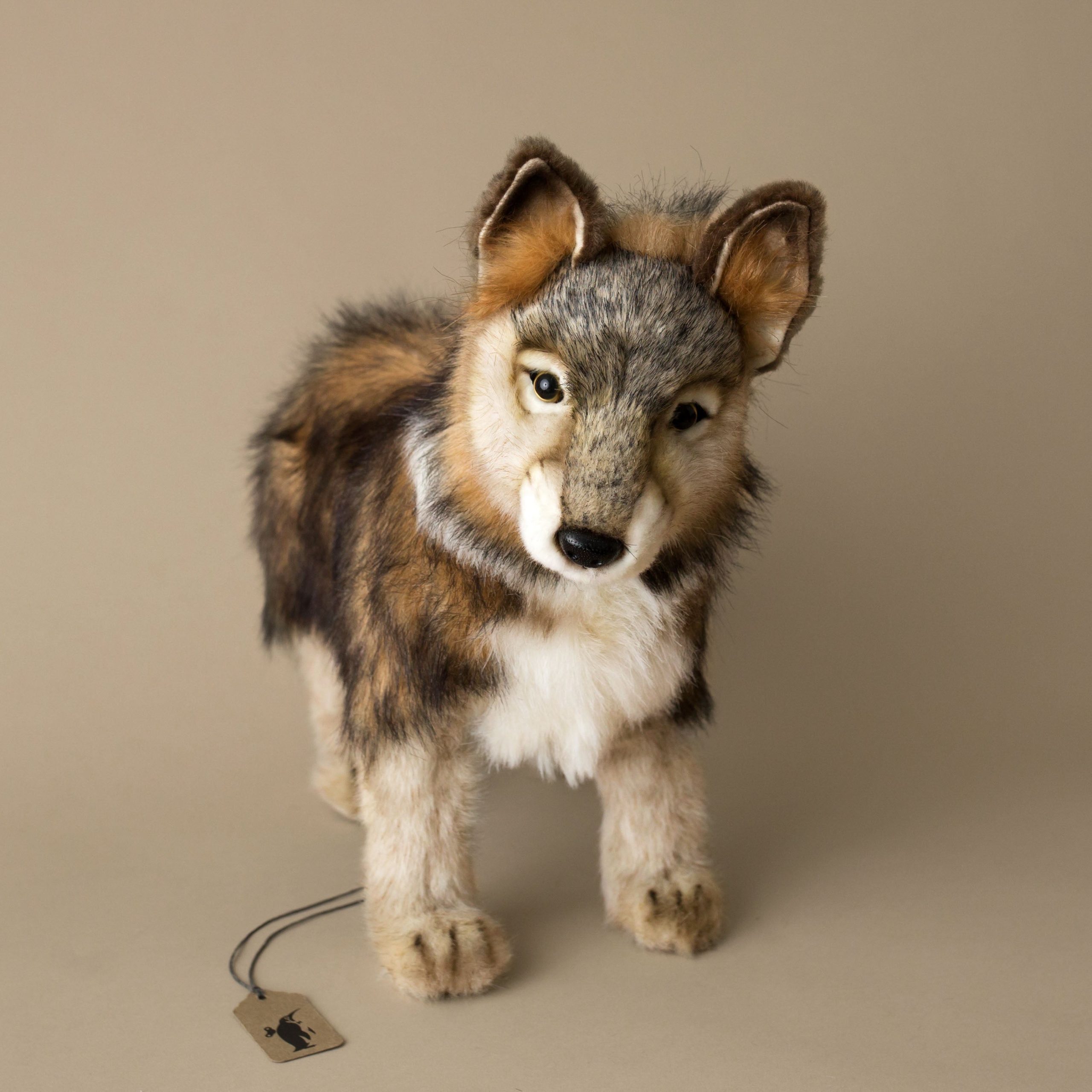 Wolf Cub | Standing