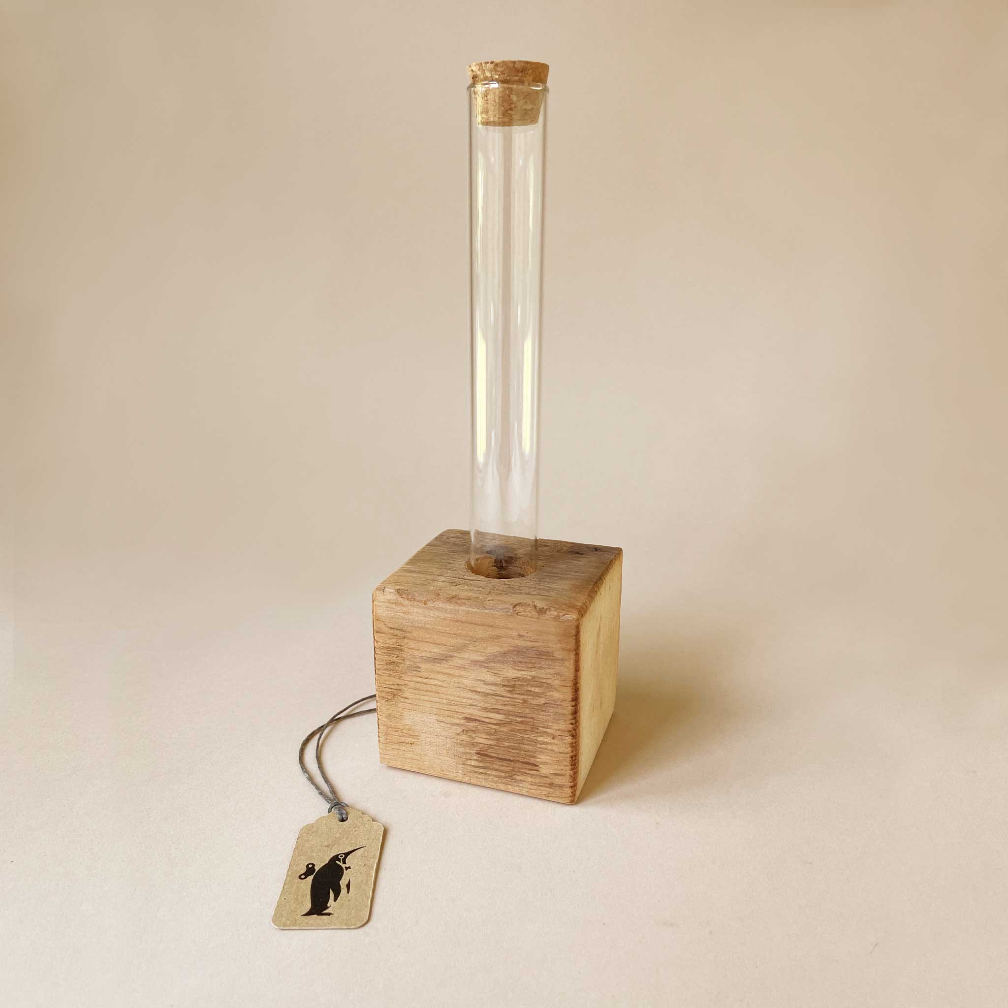 Wooden Block Terrarium Holder | Single
