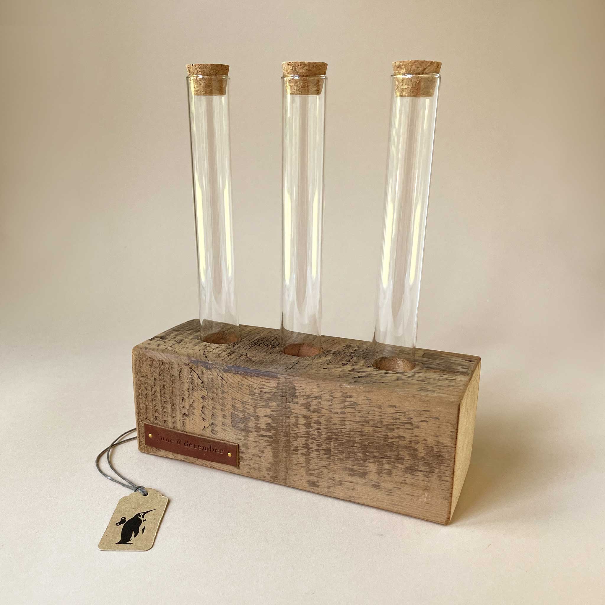 Wooden Block Terrarium Holder | Trio