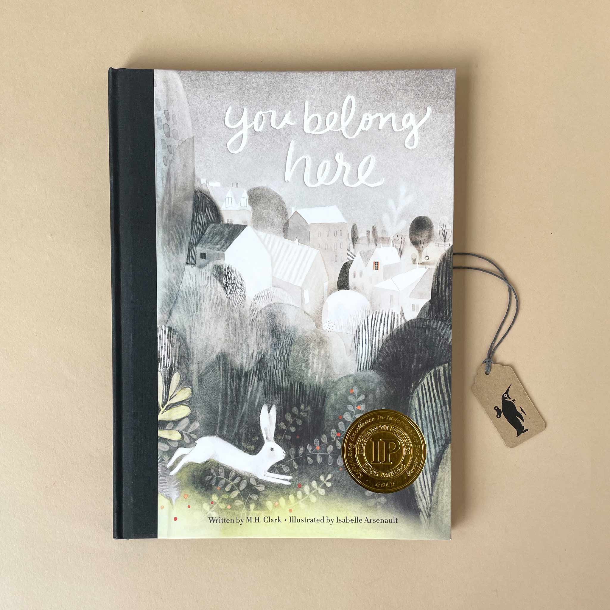 You Belong Here Book